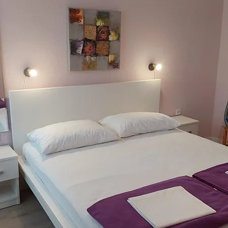 Gojka Miocevic 比奥格勒·纳·莫鲁