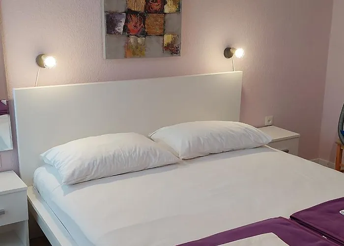 Gojka Miocevic 비오그라드나모루