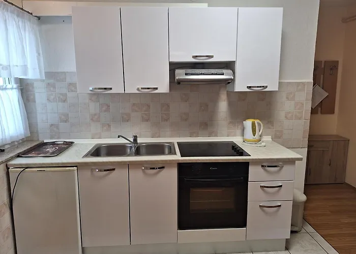 Gojka Miocevic 비오그라드나모루